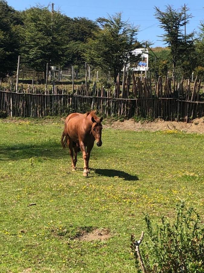 Cabanas Rio Quemille Huillinco Kültér fotó